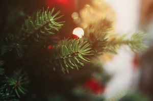 Christmas Chaos