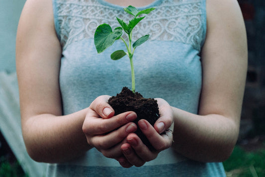 Why Regenerative Agriculture is the Future of Farming
