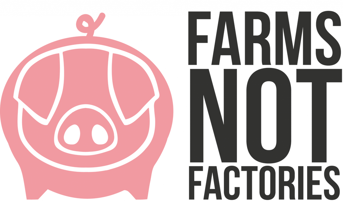 In Conversation with… Tracy Worcester from Farms Not Factories